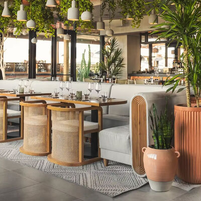 Bom preço Mobiliário de Restaurante Recém-Chegado Conjunto de Café Mesa de Sala de Jantar e Conjuntos de Cadeiras Conjunto de Jantar Clássico Cadeiras on-line