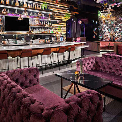 Goede prijs Bank van de Zitkamersofa classic button tufting bistro van de fluweel de Purpere Club online